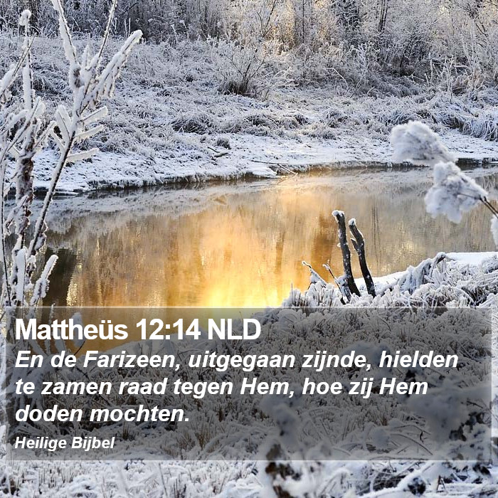 Mattheüs 12:14 NLD Bible Study