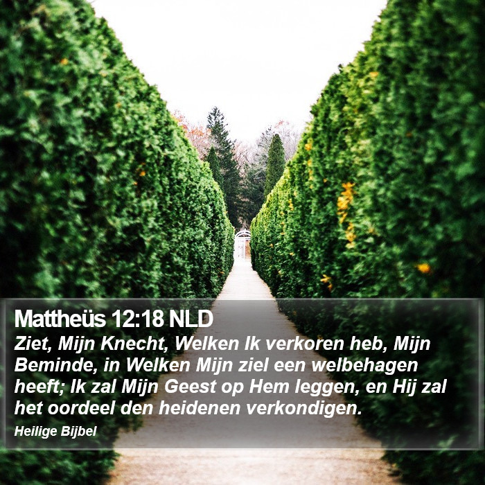 Mattheüs 12:18 NLD Bible Study