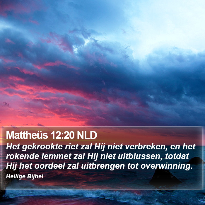 Mattheüs 12:20 NLD Bible Study