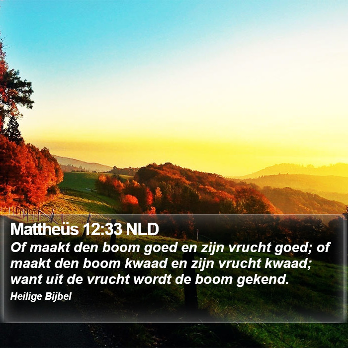 Mattheüs 12:33 NLD Bible Study