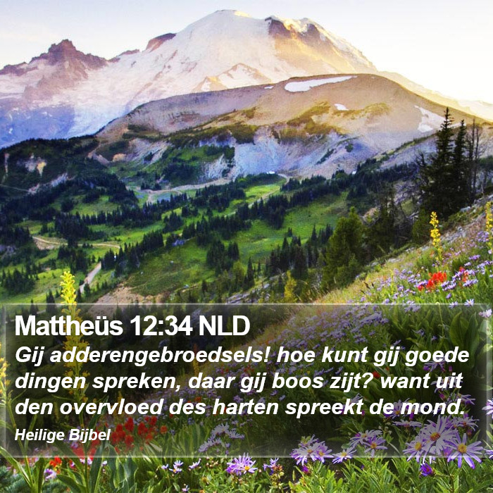 Mattheüs 12:34 NLD Bible Study