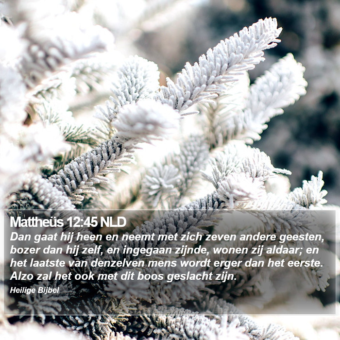 Mattheüs 12:45 NLD Bible Study