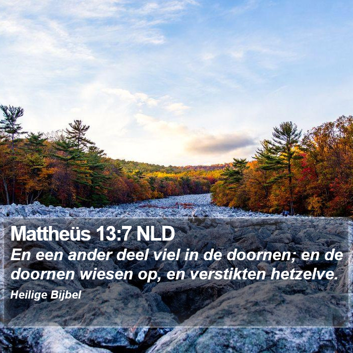 Mattheüs 13:7 NLD Bible Study