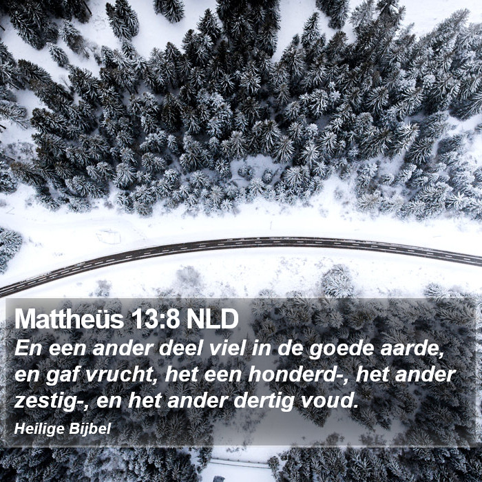 Mattheüs 13:8 NLD Bible Study