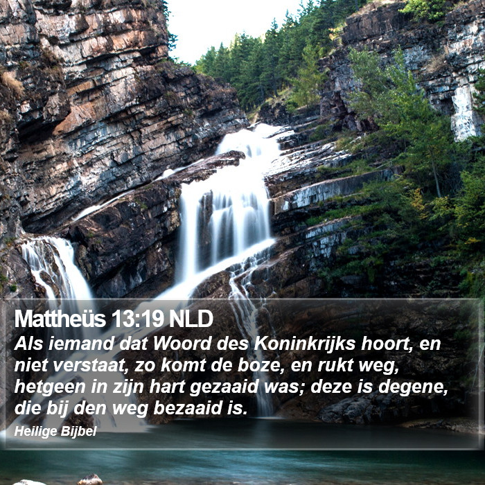 Mattheüs 13:19 NLD Bible Study