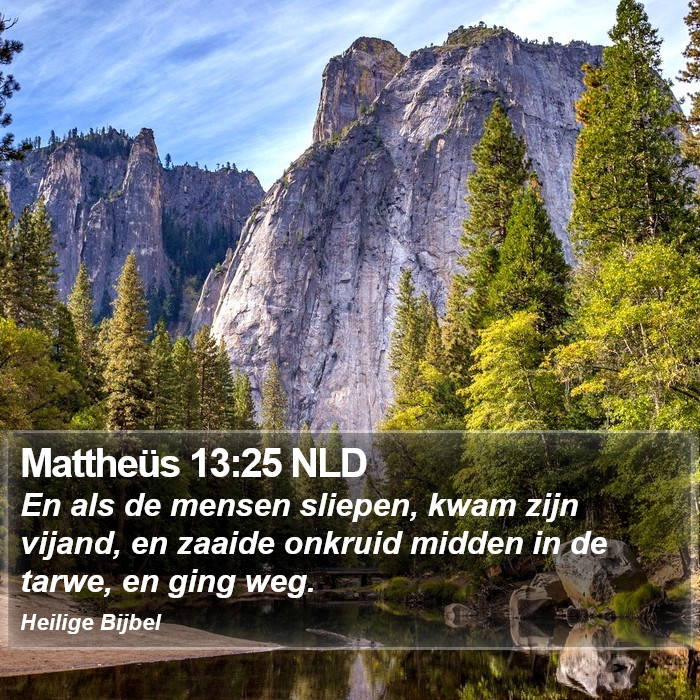 Mattheüs 13:25 NLD Bible Study
