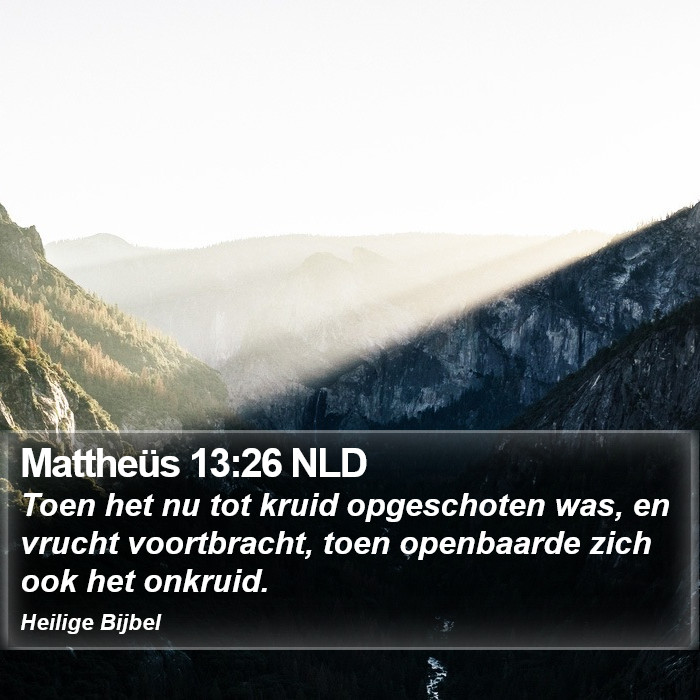 Mattheüs 13:26 NLD Bible Study