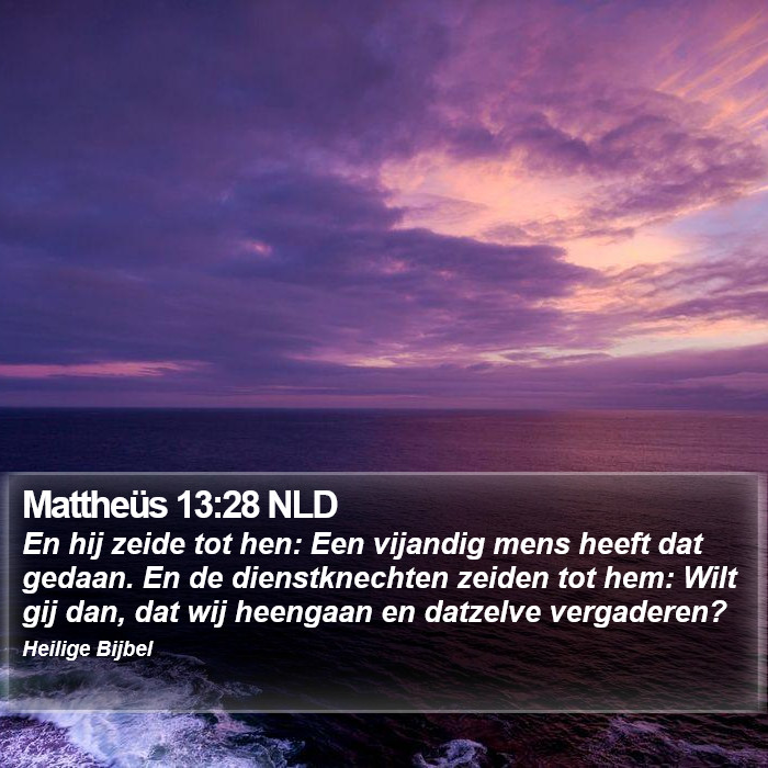 Mattheüs 13:28 NLD Bible Study
