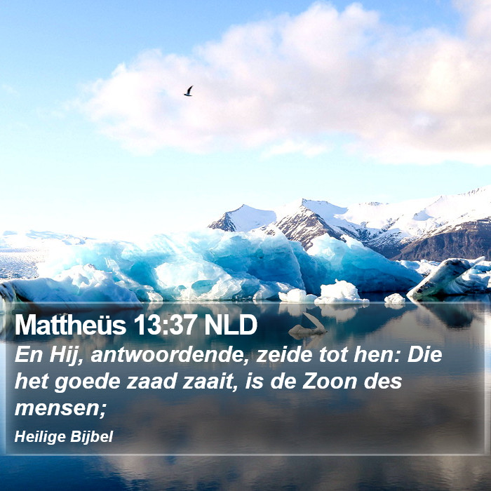 Mattheüs 13:37 NLD Bible Study