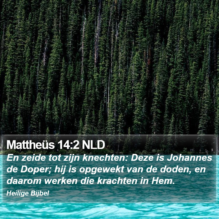 Mattheüs 14:2 NLD Bible Study