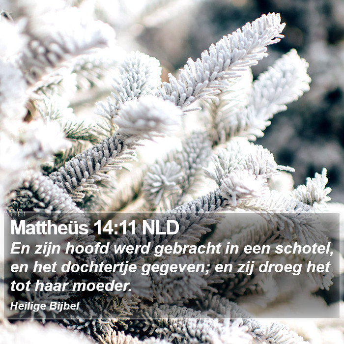Mattheüs 14:11 NLD Bible Study