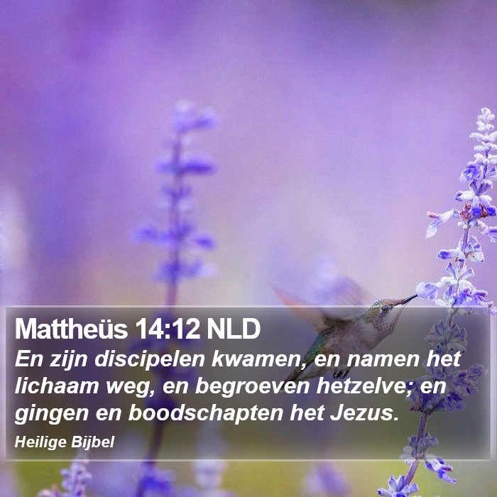 Mattheüs 14:12 NLD Bible Study