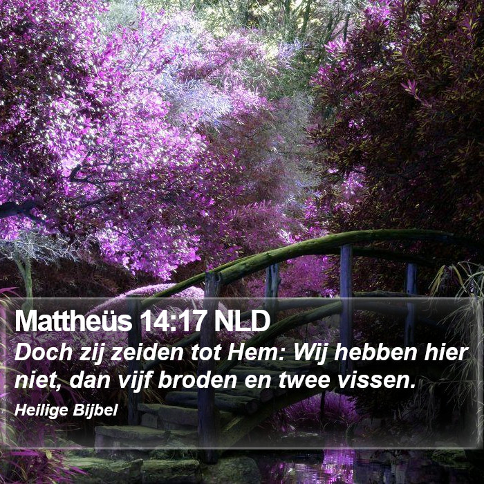 Mattheüs 14:17 NLD Bible Study