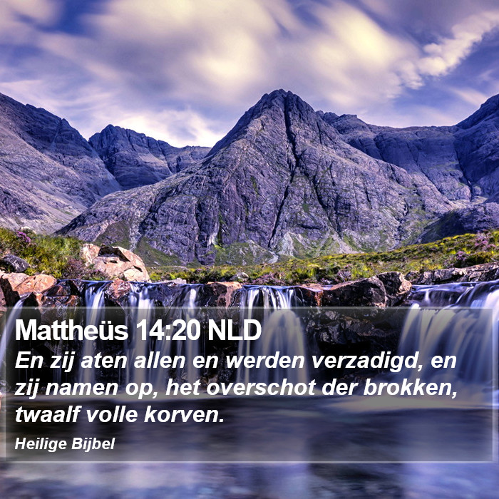 Mattheüs 14:20 NLD Bible Study