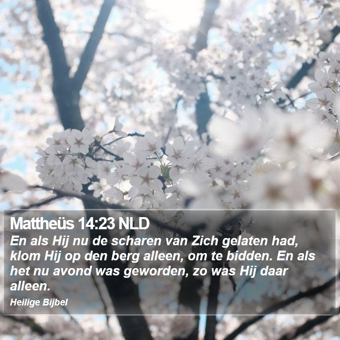 Mattheüs 14:23 NLD Bible Study
