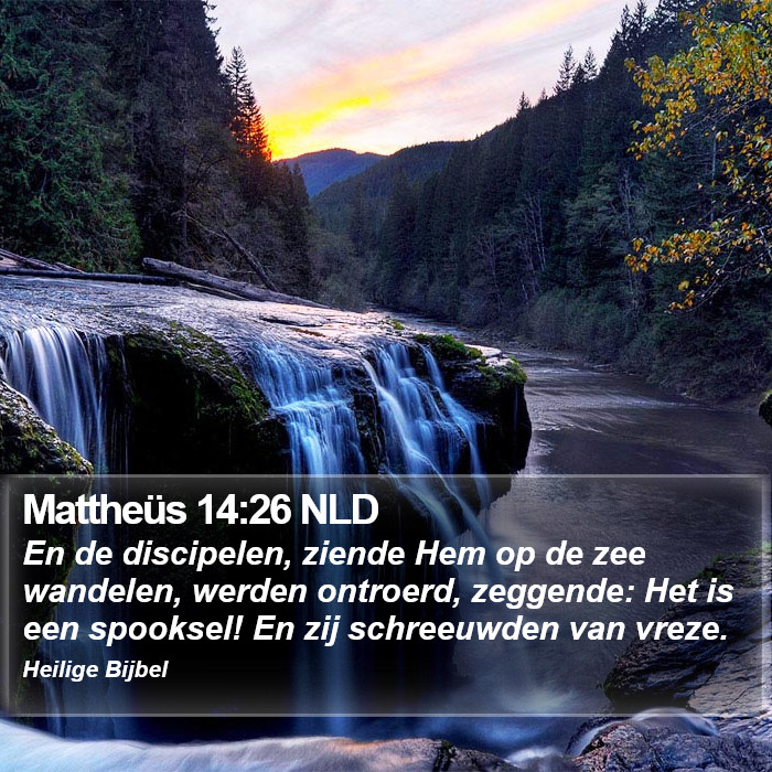 Mattheüs 14:26 NLD Bible Study