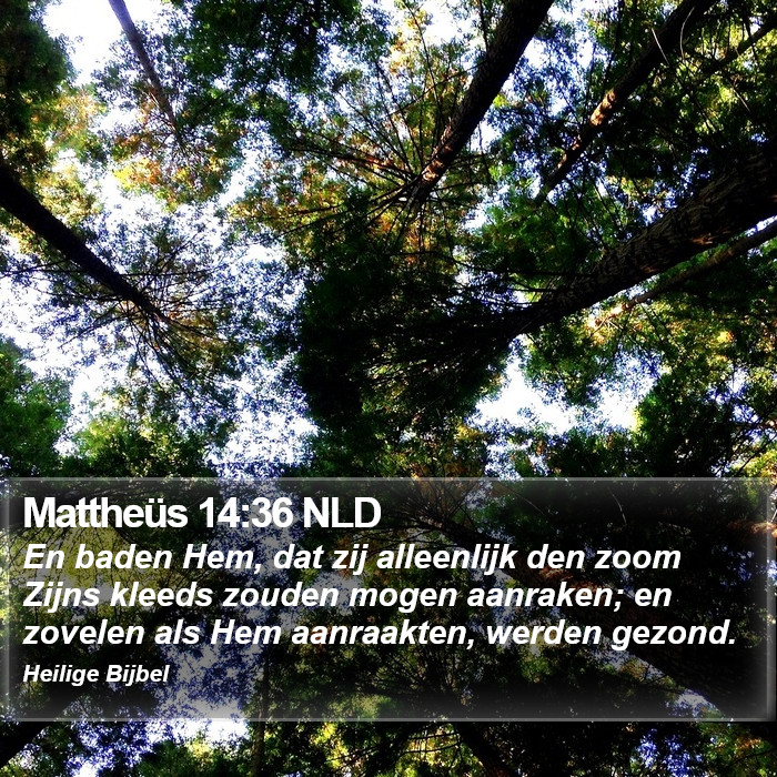 Mattheüs 14:36 NLD Bible Study