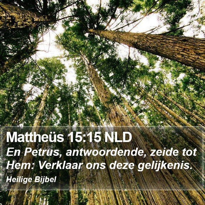 Mattheüs 15:15 NLD Bible Study