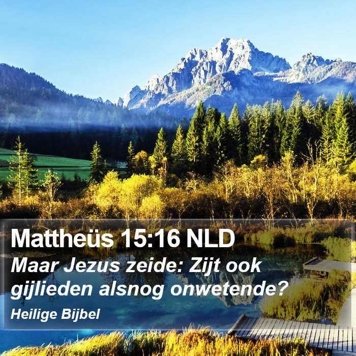 Mattheüs 15:16 NLD Bible Study