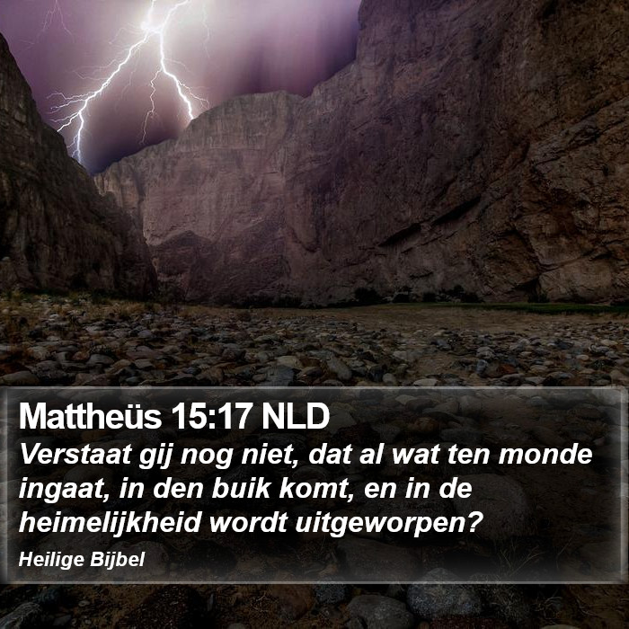 Mattheüs 15:17 NLD Bible Study