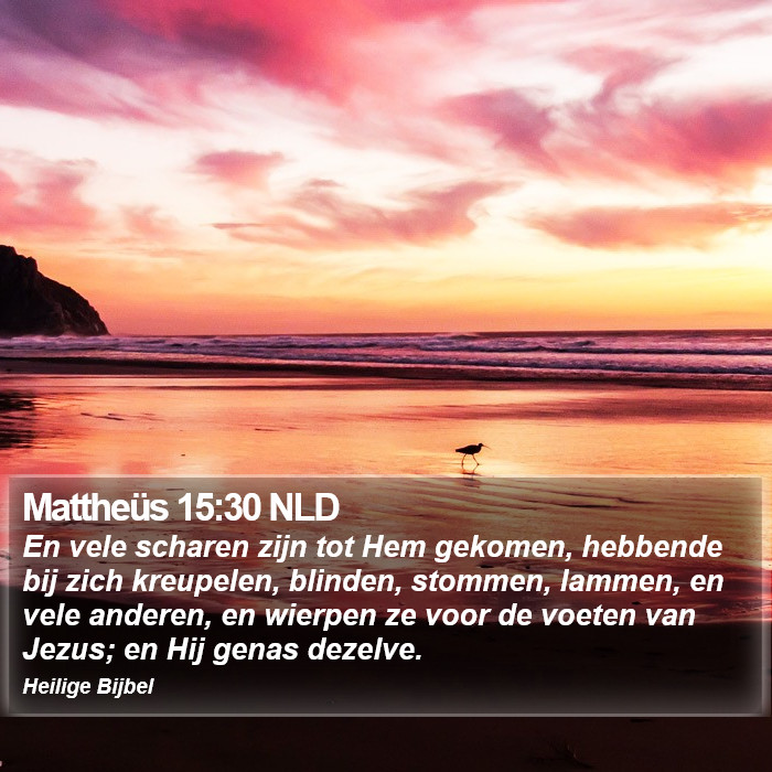 Mattheüs 15:30 NLD Bible Study