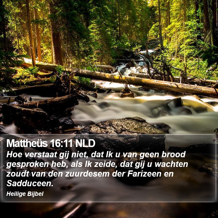 Mattheüs 16:11 NLD Bible Study