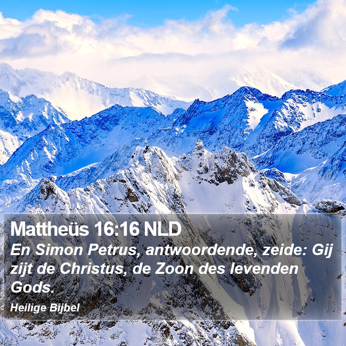 Mattheüs 16:16 NLD Bible Study