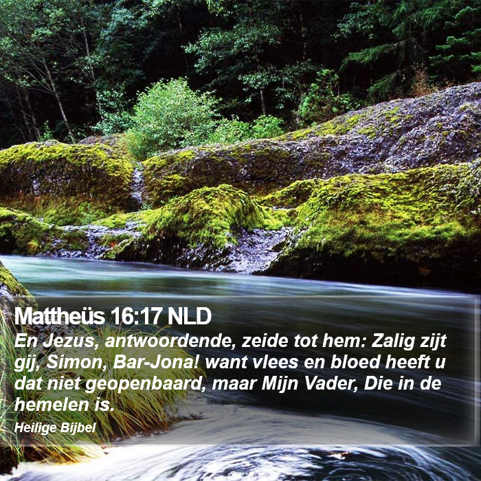 Mattheüs 16:17 NLD Bible Study