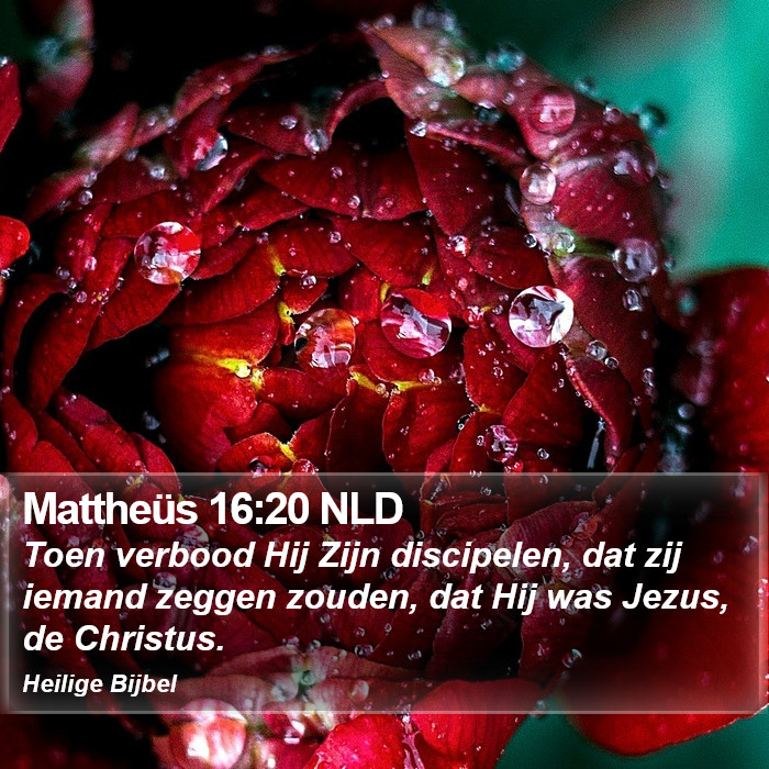 Mattheüs 16:20 NLD Bible Study