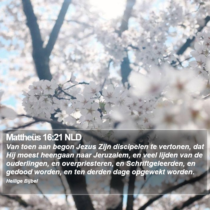 Mattheüs 16:21 NLD Bible Study