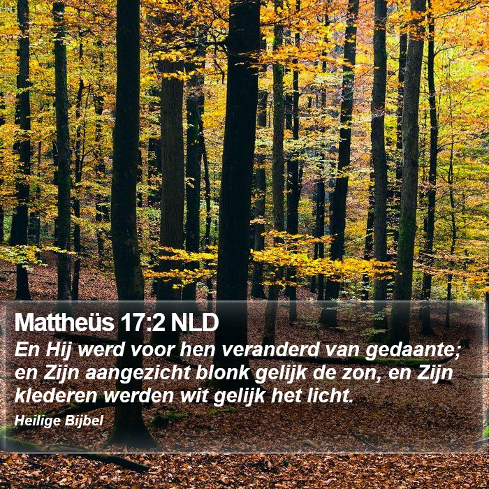 Mattheüs 17:2 NLD Bible Study