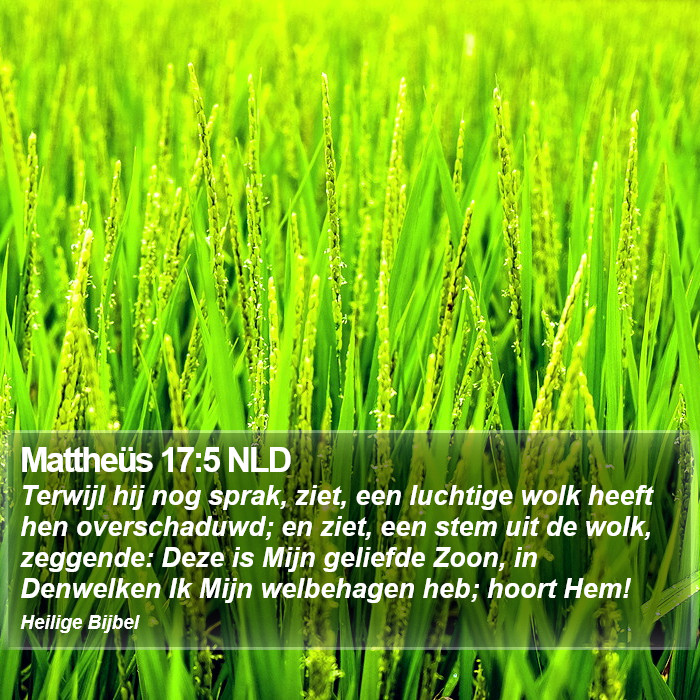 Mattheüs 17:5 NLD Bible Study