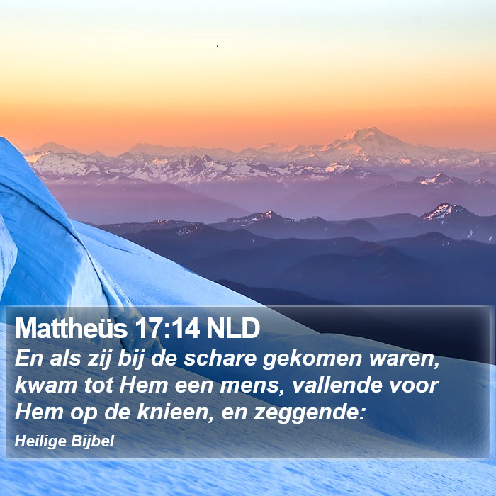 Mattheüs 17:14 NLD Bible Study