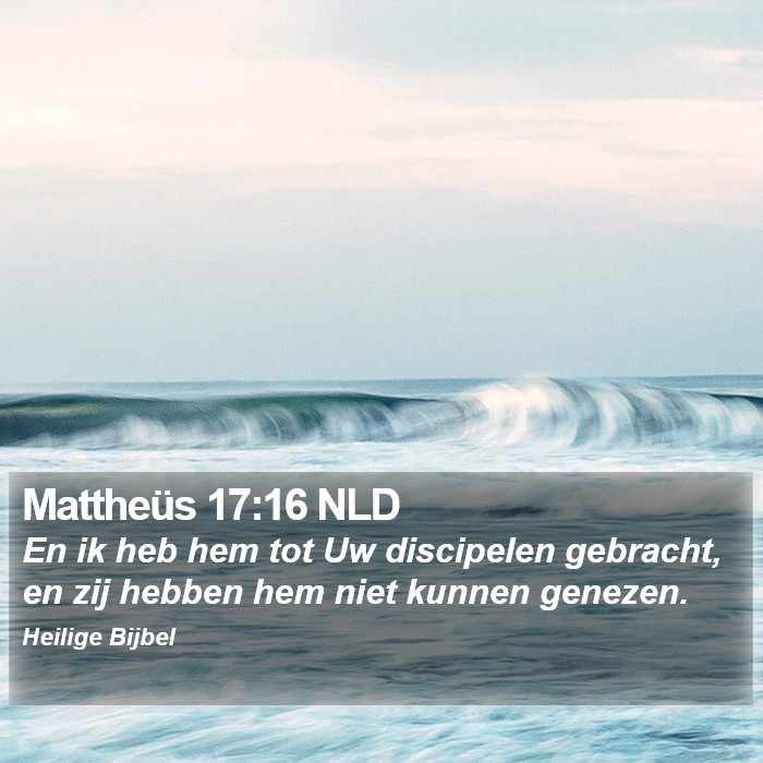 Mattheüs 17:16 NLD Bible Study