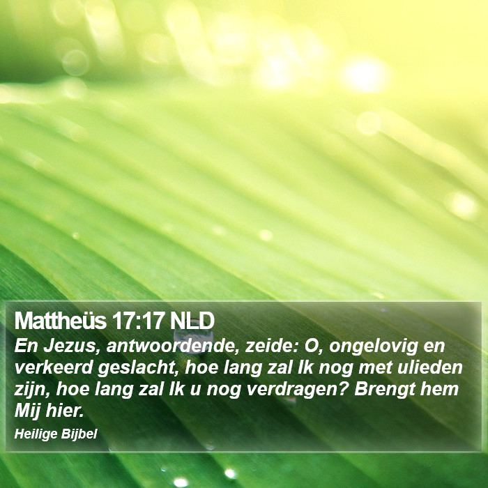 Mattheüs 17:17 NLD Bible Study