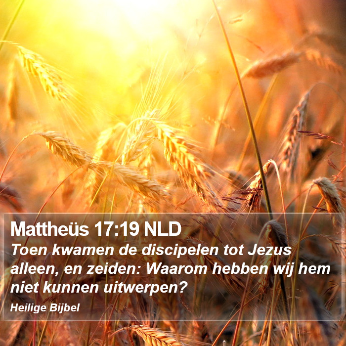 Mattheüs 17:19 NLD Bible Study