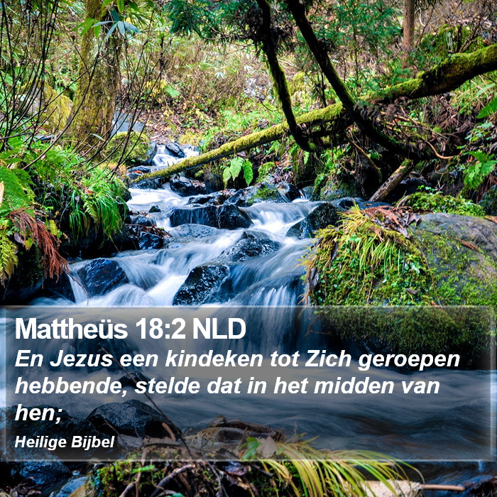 Mattheüs 18:2 NLD Bible Study