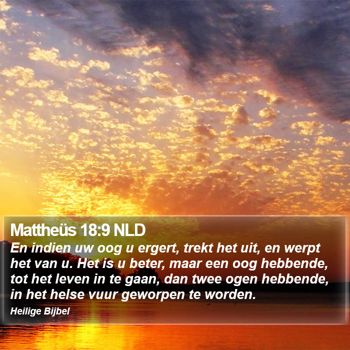 Mattheüs 18:9 NLD Bible Study