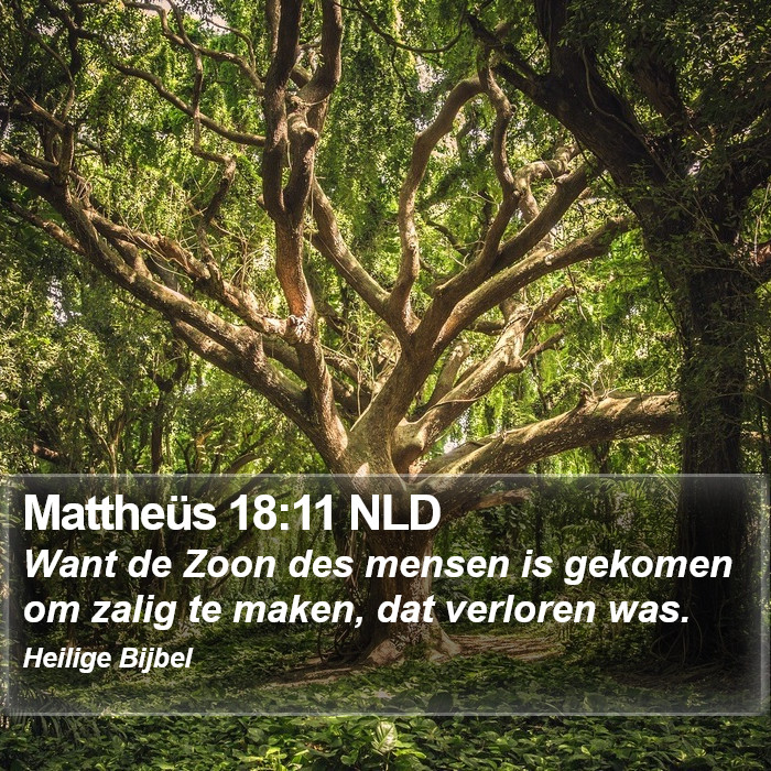 Mattheüs 18:11 NLD Bible Study