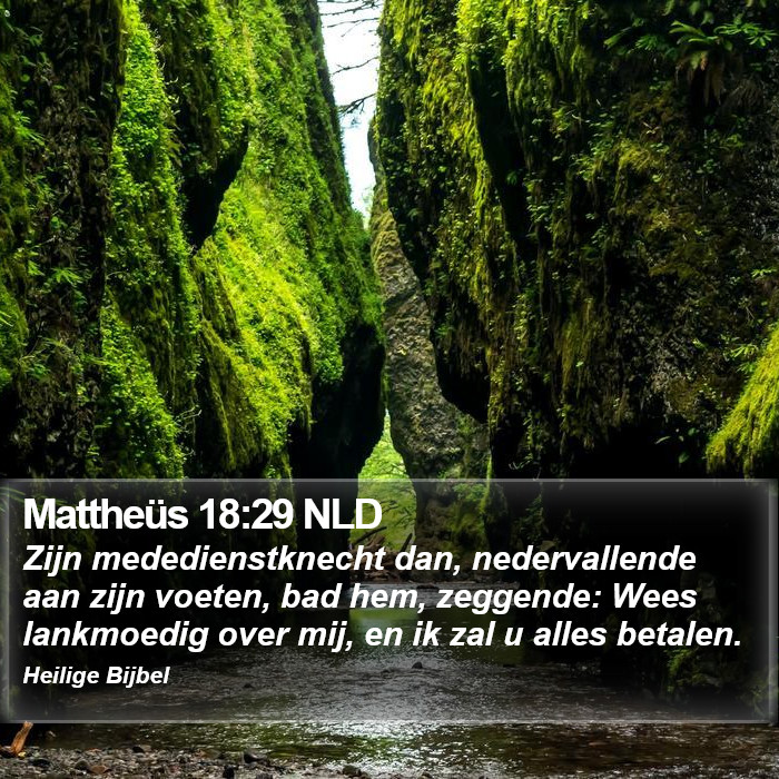 Mattheüs 18:29 NLD Bible Study
