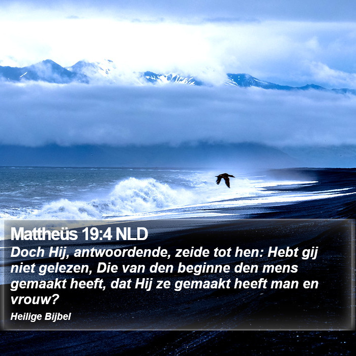 Mattheüs 19:4 NLD Bible Study
