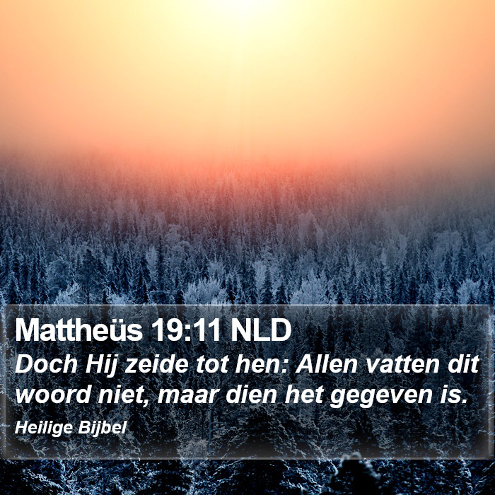 Mattheüs 19:11 NLD Bible Study