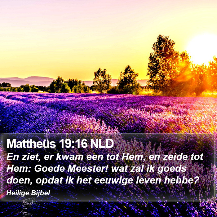 Mattheüs 19:16 NLD Bible Study