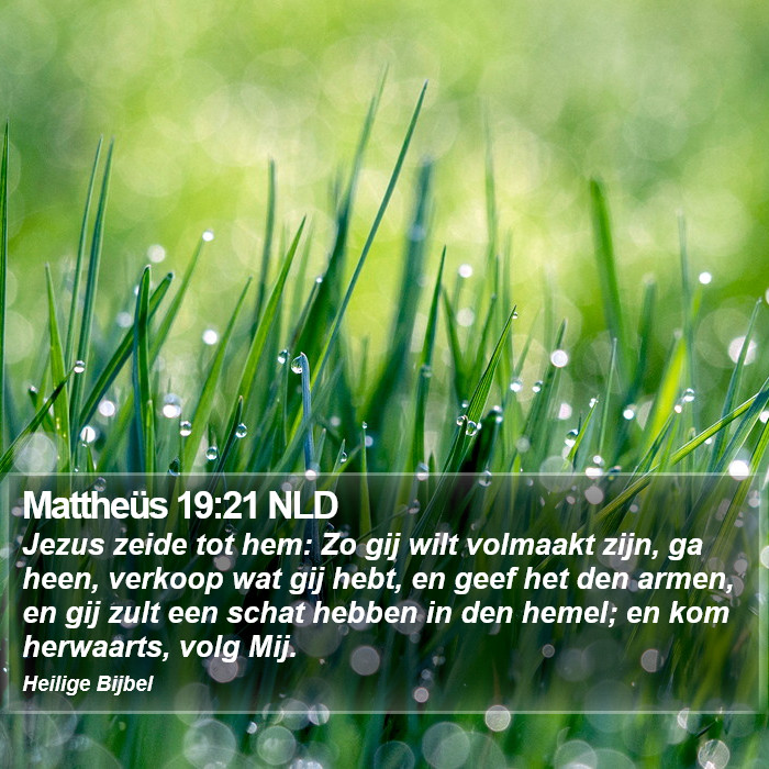 Mattheüs 19:21 NLD Bible Study