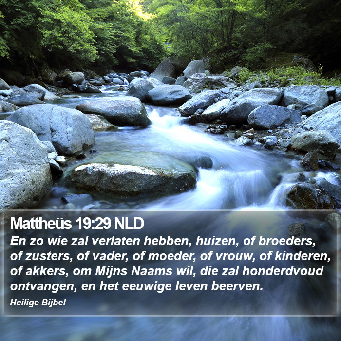 Mattheüs 19:29 NLD Bible Study