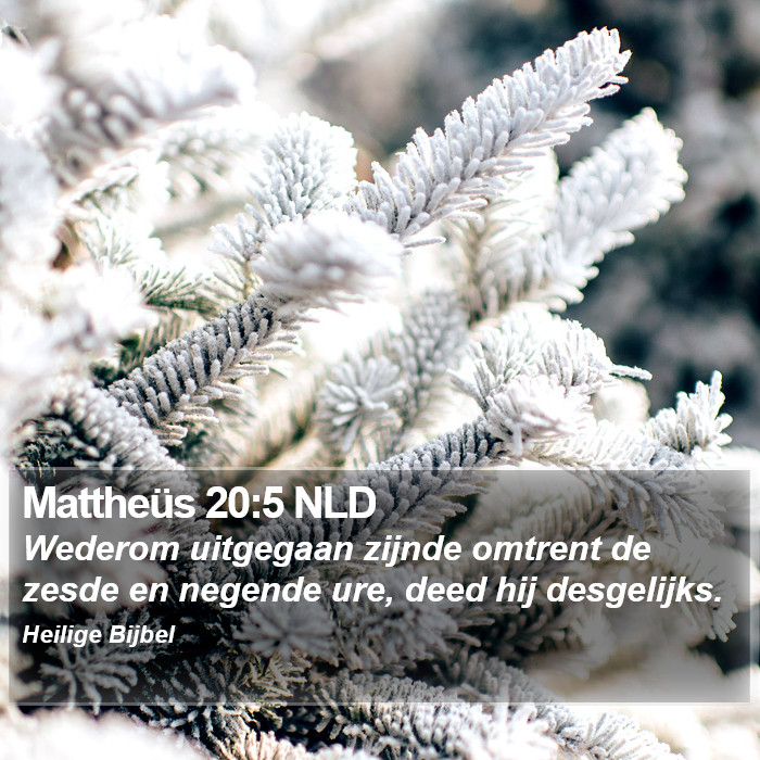 Mattheüs 20:5 NLD Bible Study