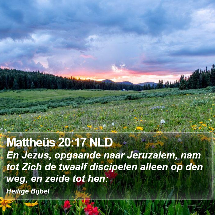 Mattheüs 20:17 NLD Bible Study