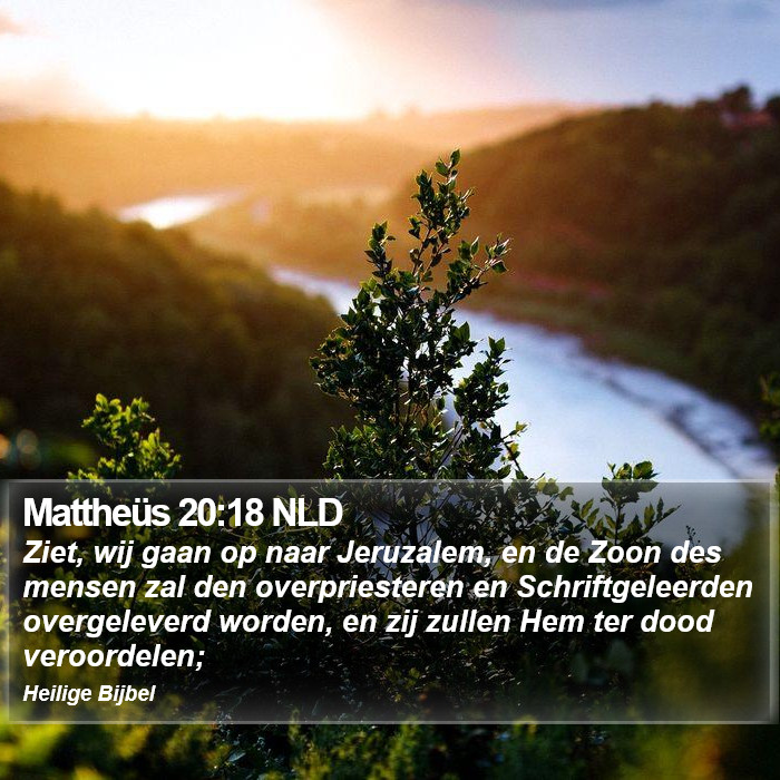 Mattheüs 20:18 NLD Bible Study