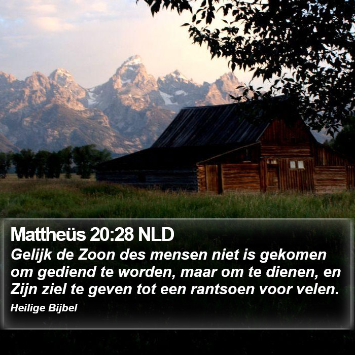 Mattheüs 20:28 NLD Bible Study