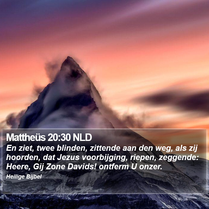 Mattheüs 20:30 NLD Bible Study